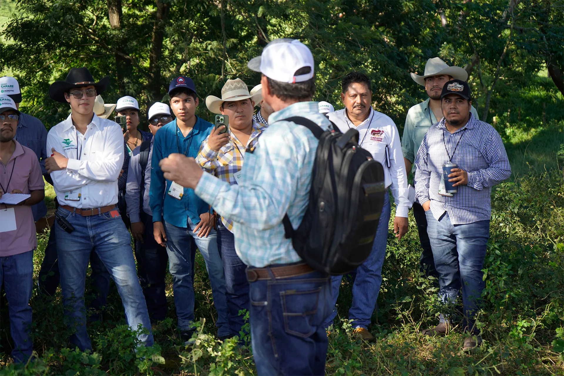 Grupo de asistentes en recorrido
