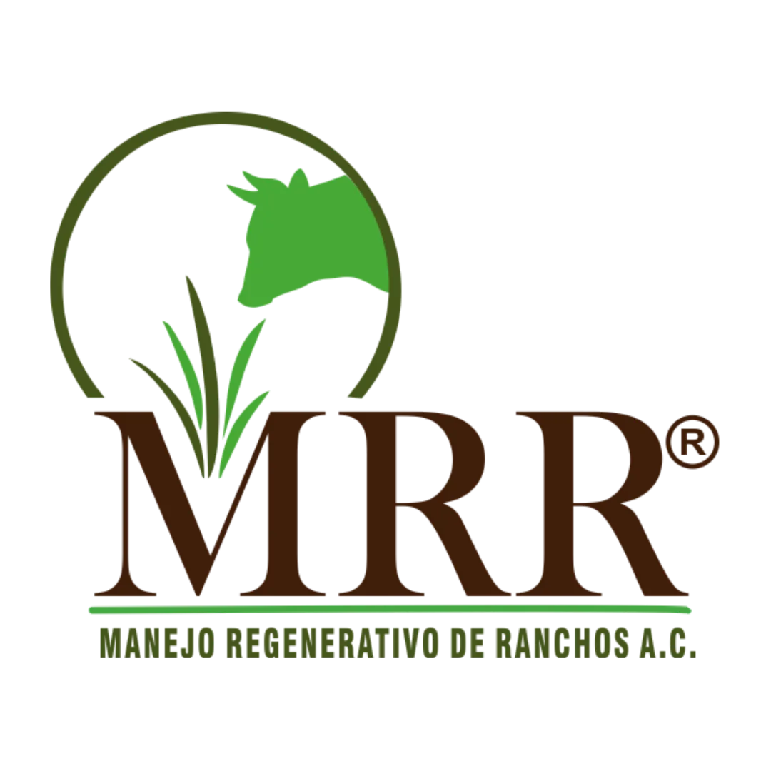 MRR