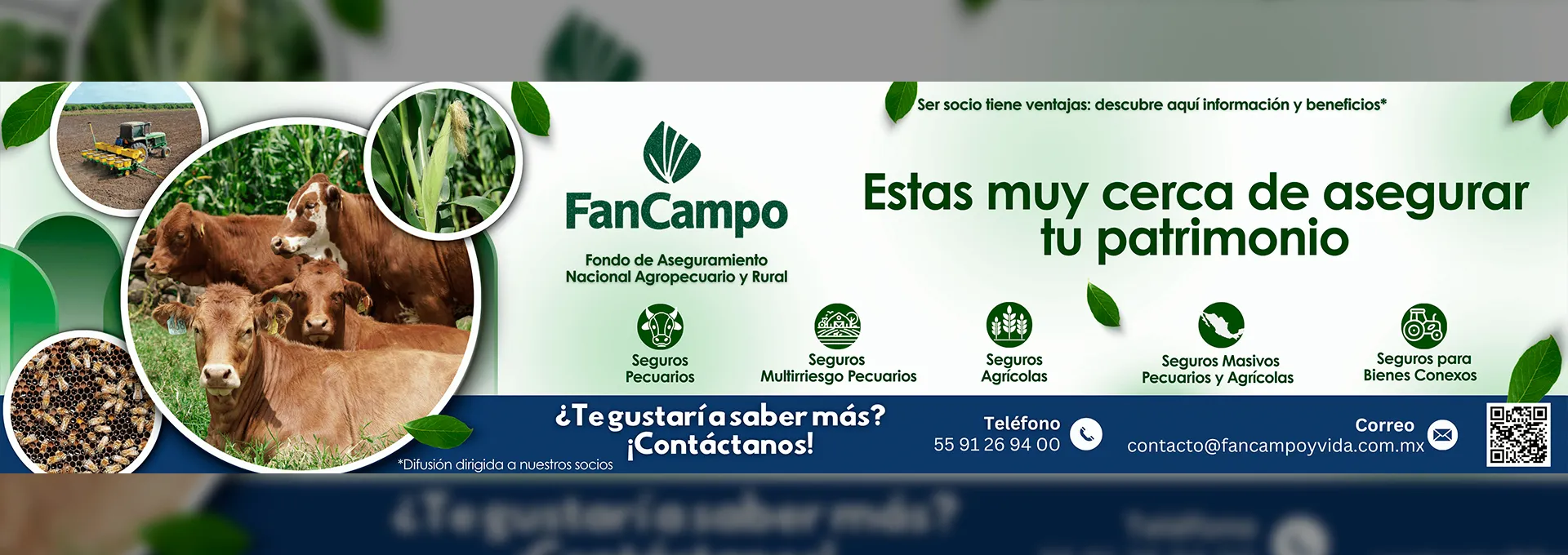 Banner de patrocinador GANARE 2026 - FANCAMPO